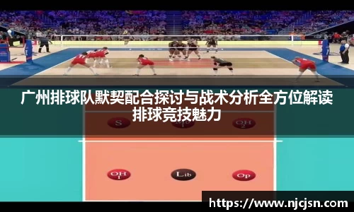 广州排球队默契配合探讨与战术分析全方位解读排球竞技魅力